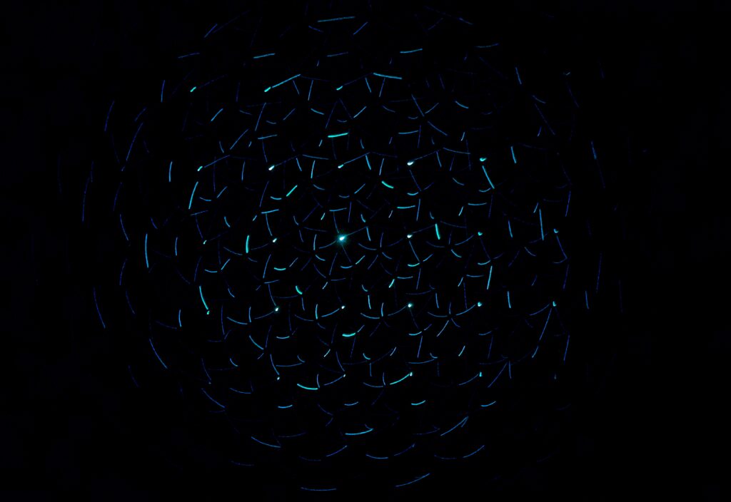 AI-generated, ChatGPT
